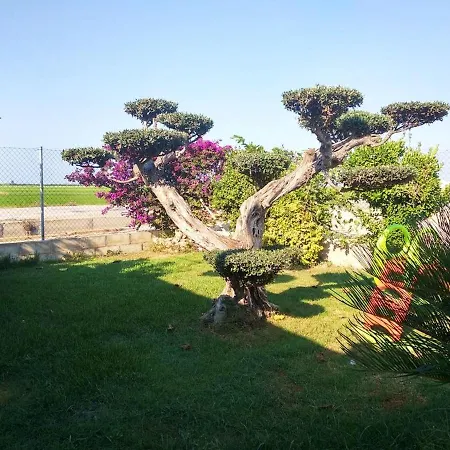 Tatil Evi Charming House + Pool